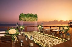 THE ART OF LOVE WEDDING PACKAGE